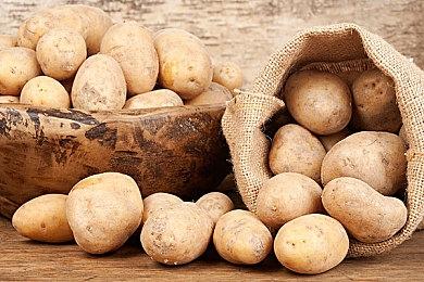 《英雄萨姆 西伯利亚狂想曲》今日于Steam发售 支持中文